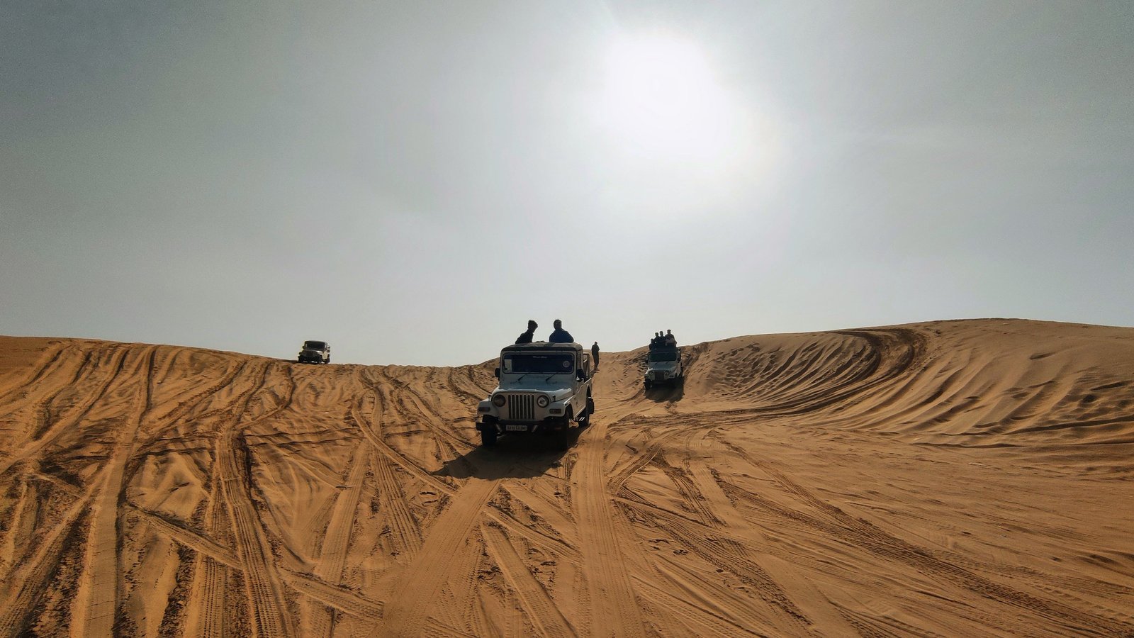 Camel Safari